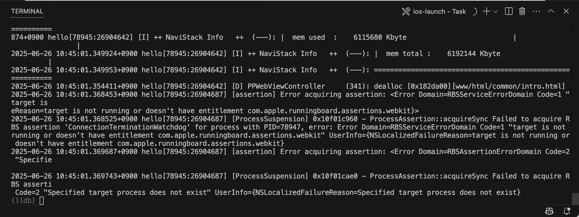 ide_run03.png